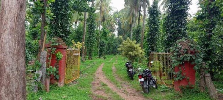 Single Property Image