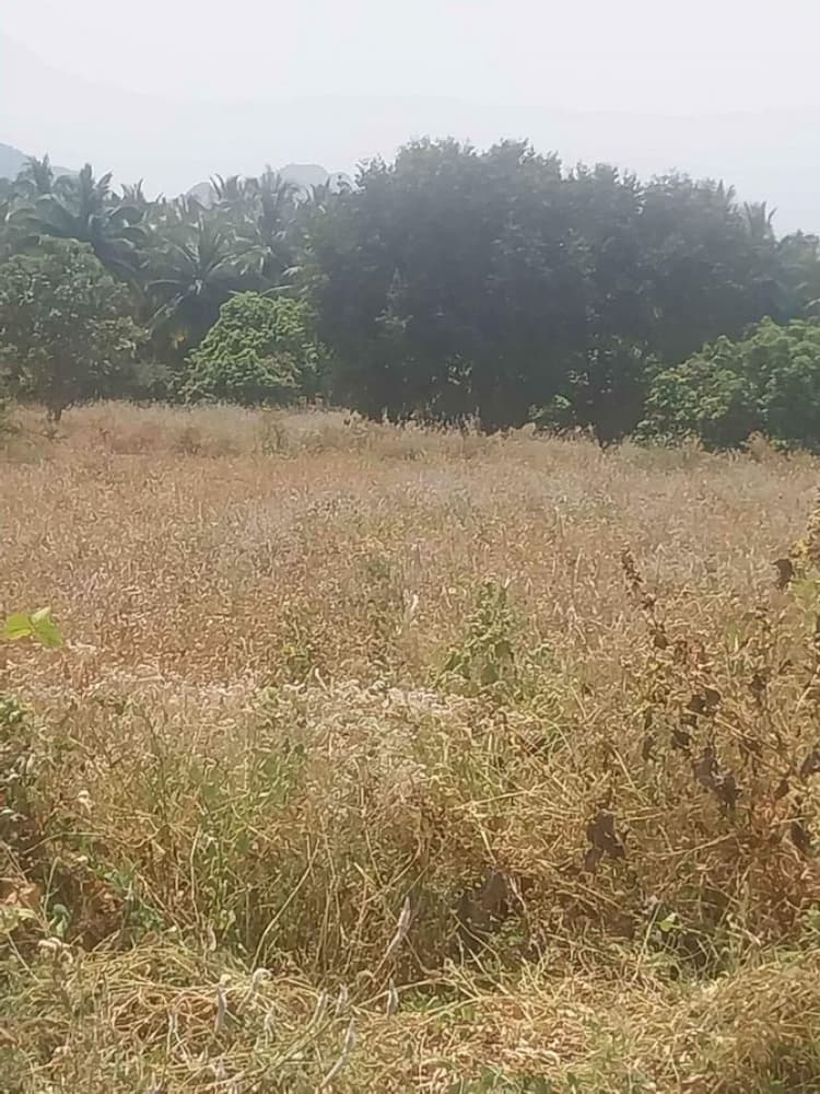 Farm Land for Sale