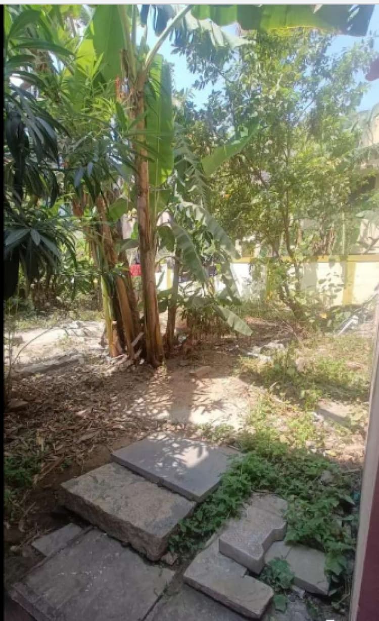 Land for sales