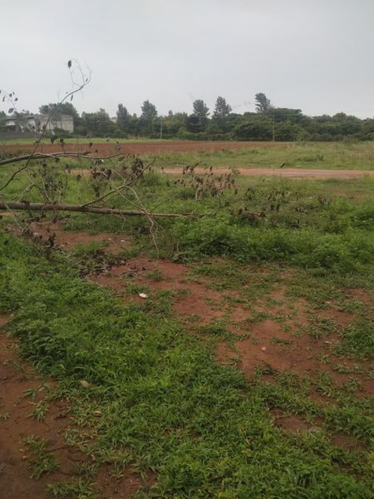 Plot sale