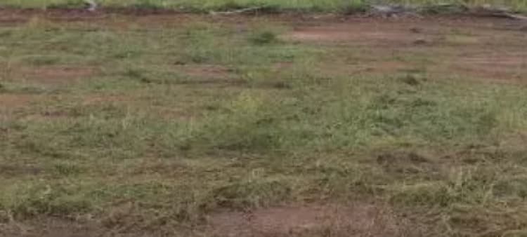 land for sales