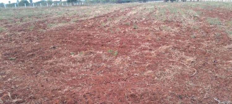 2 Acre Land for Sale