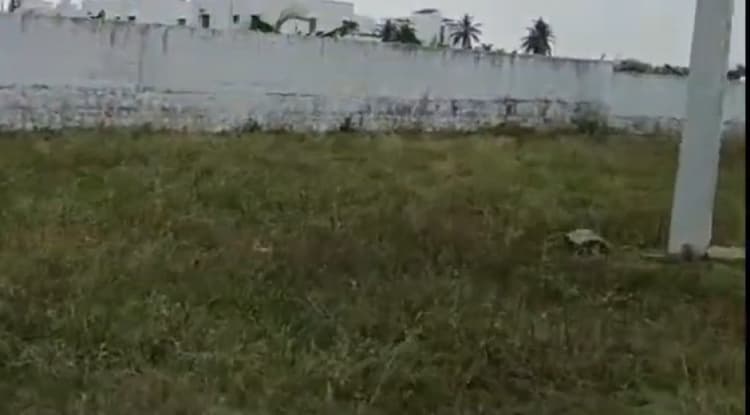 Land for sales