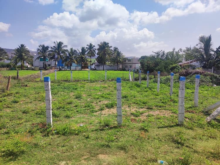 Single Property Image