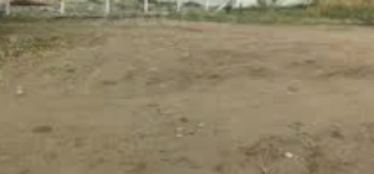 Land for sales