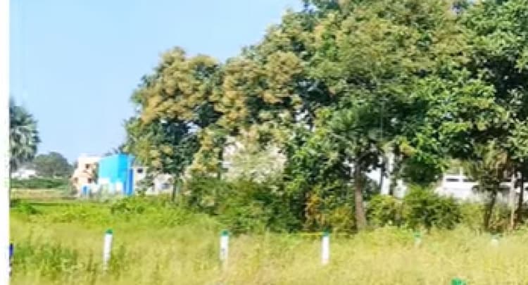 land for sales