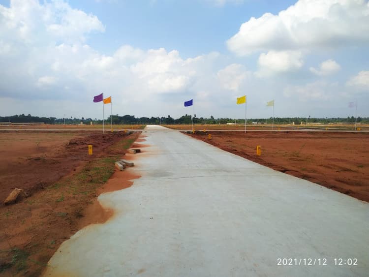 Residential Plot