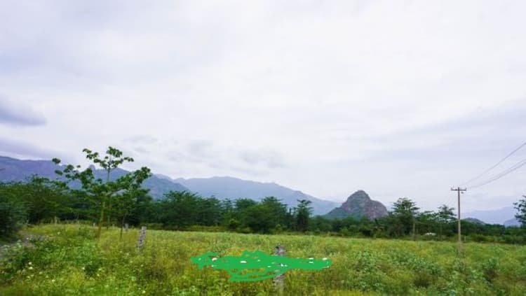 LOWEST PRICE IN THE MARKET FOR FOOTHILL FARMLAND SALE IN PALANI