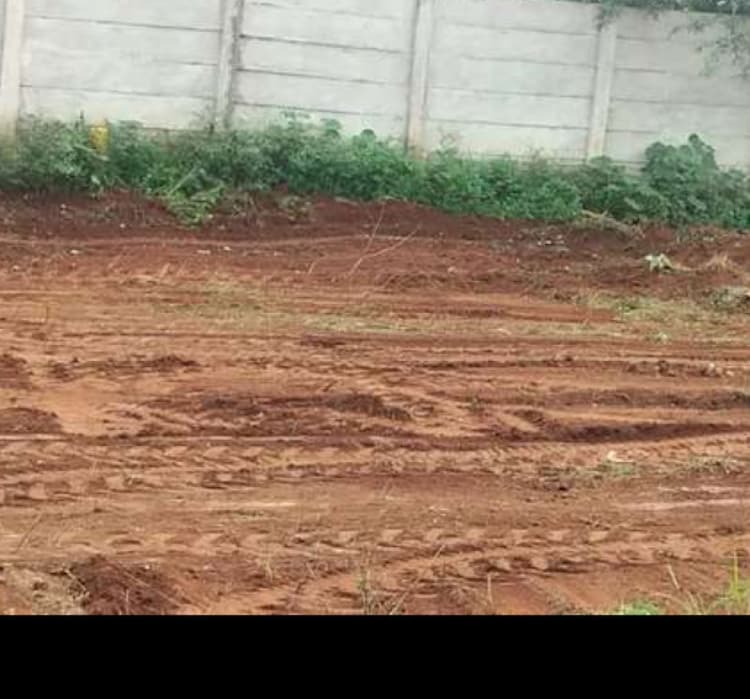 plot for sale 