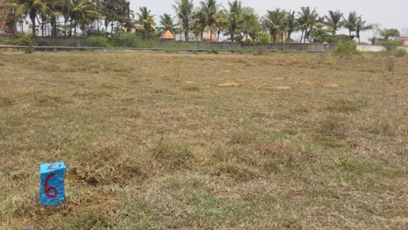 Residential plot