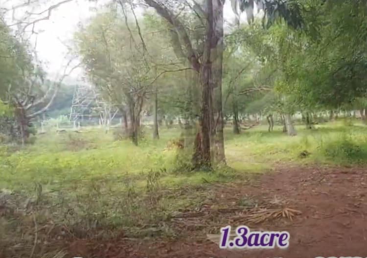 land for sales