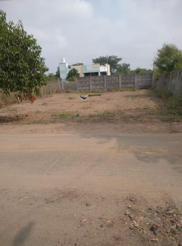 5 Cents plot for sale