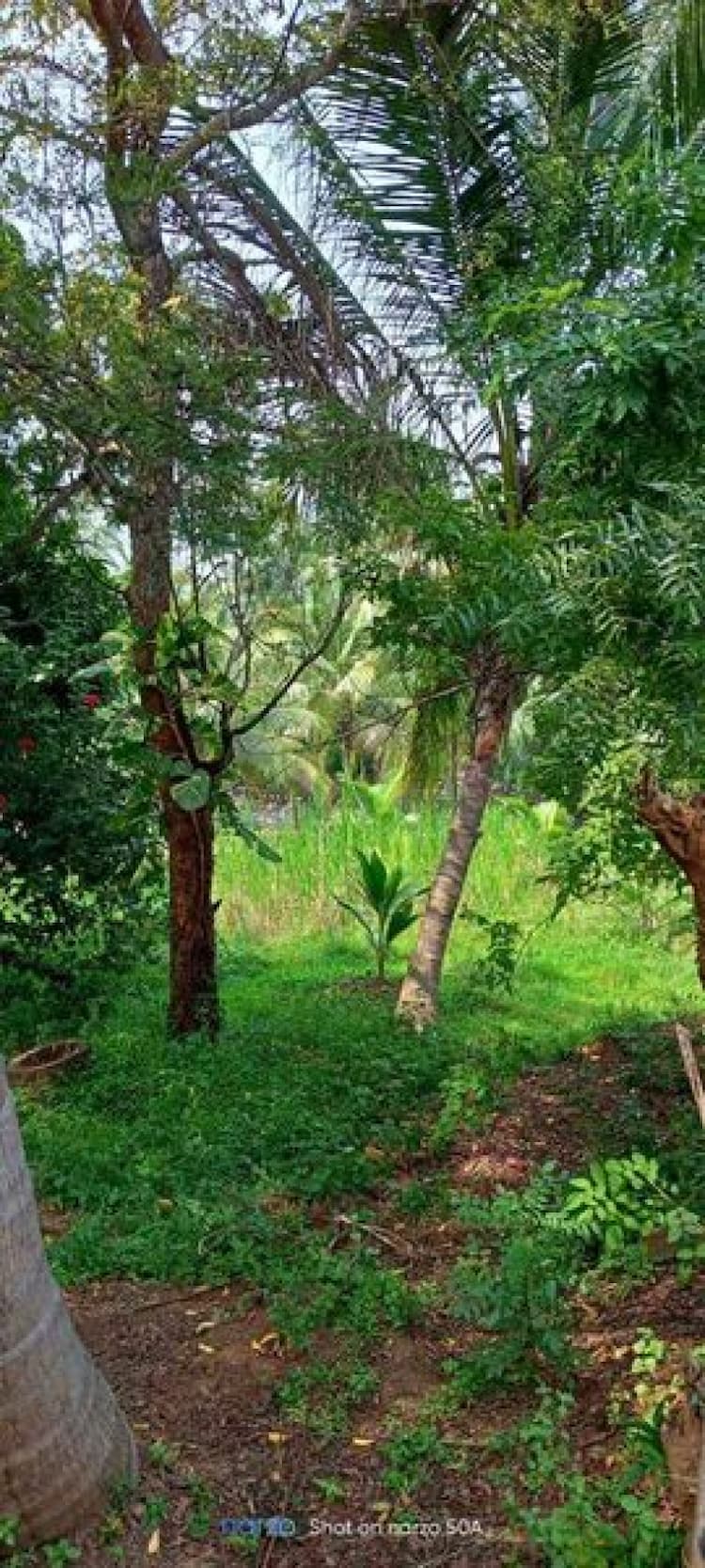 2.75 acre farm house for sale