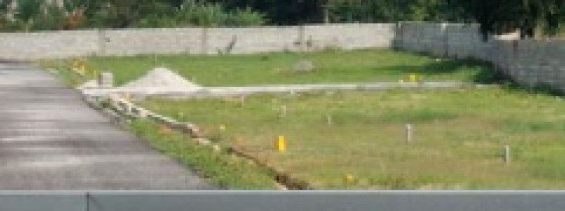 Plot for sales
