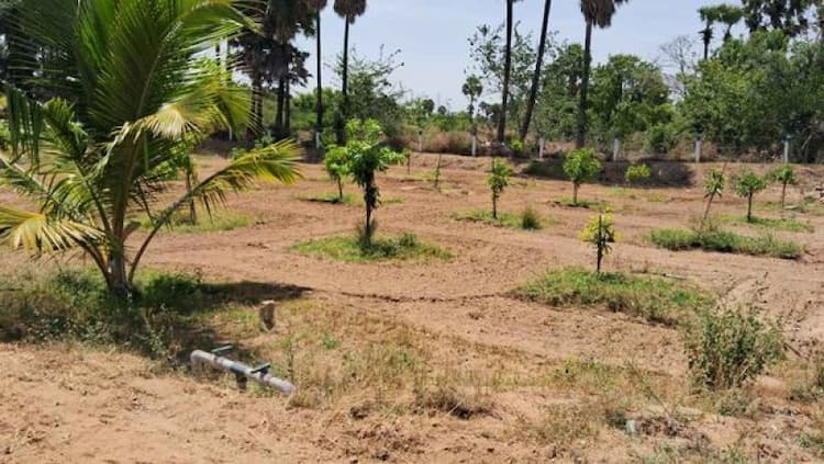Farm land sale