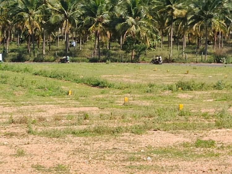 Single Property Image