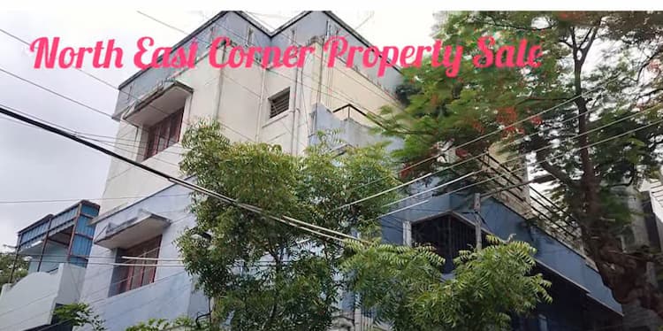 House for sales