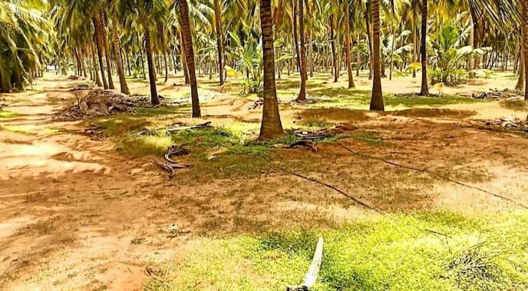 Single Property Image