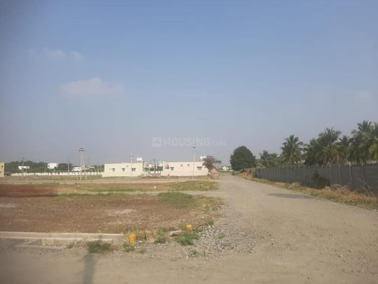 Residential Plot