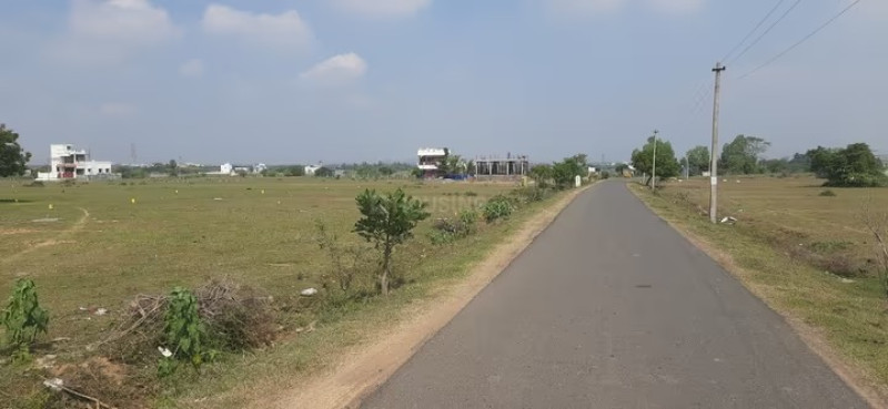 Residential Plot