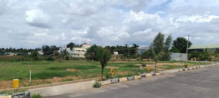 Plot sale