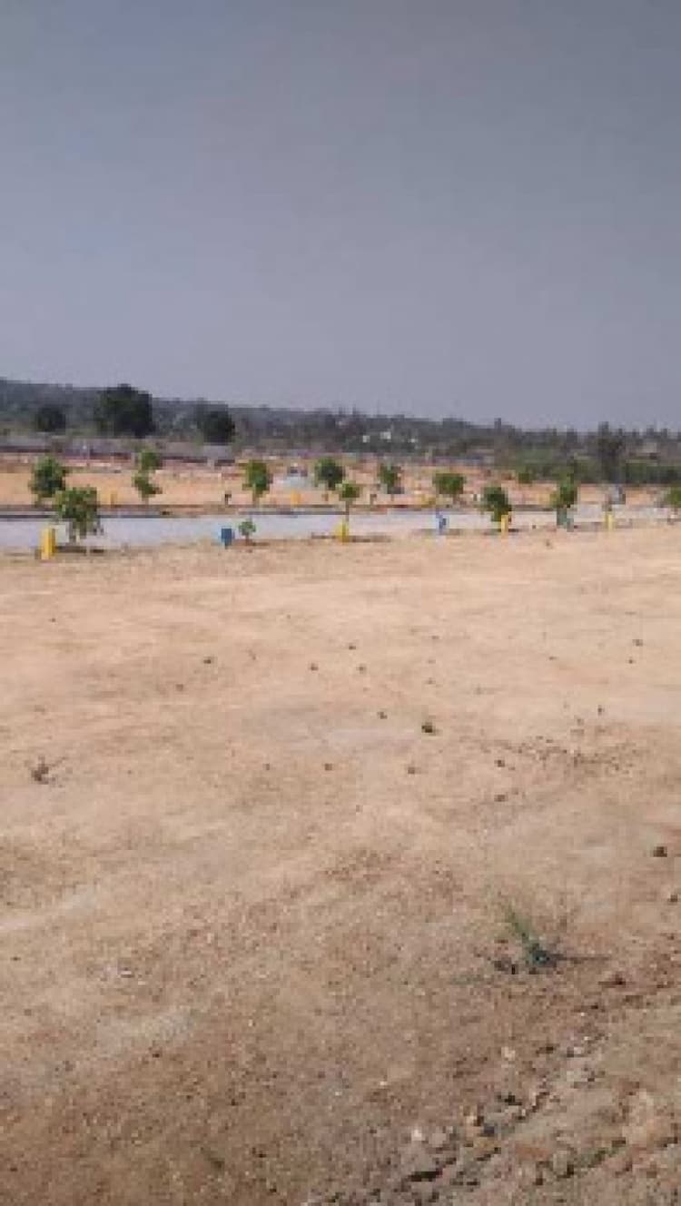 Plot sale