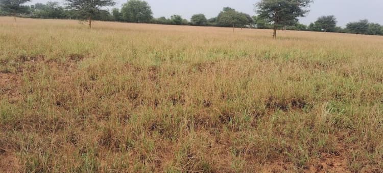 4.80 Acre Land for Sale