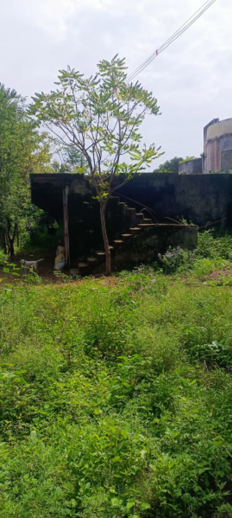 Land sale