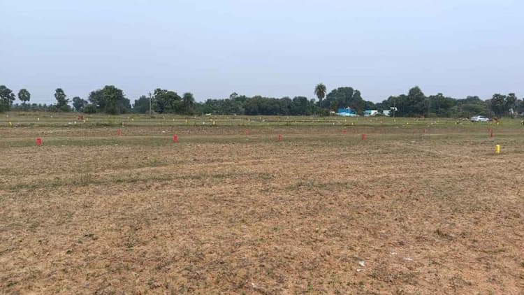 PLOT FOR SALE AT  KALAVAI T PUDHUR 