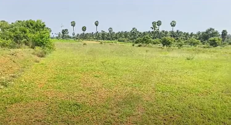 Land for sales