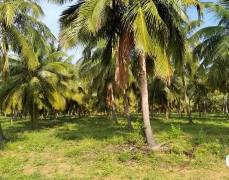 Single Property Image