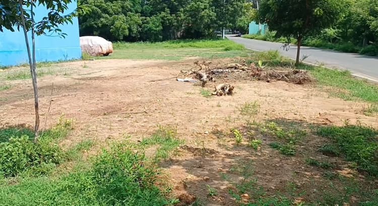 Land for Sale
