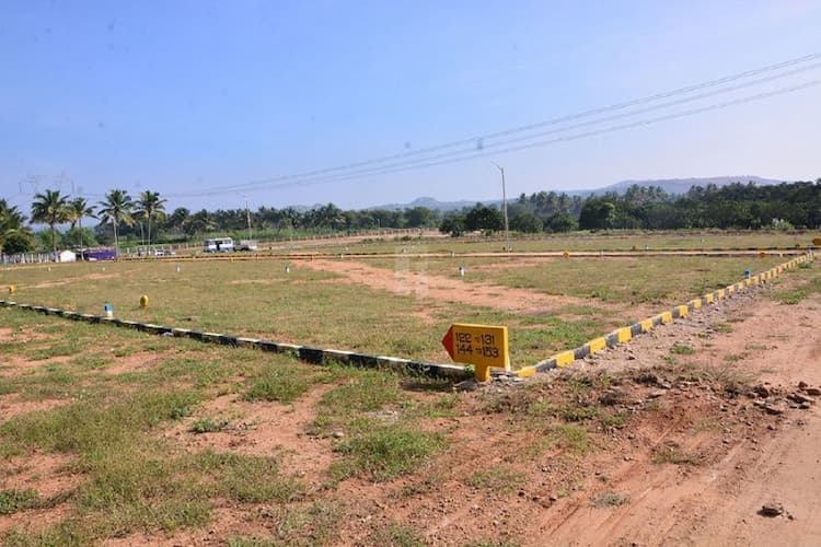 Plot sale