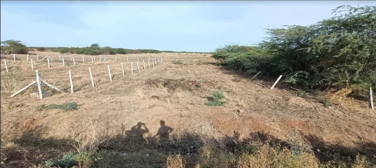 14 Cent Commercial Plot for sales