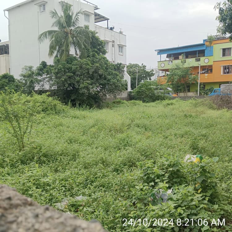 Land for sales