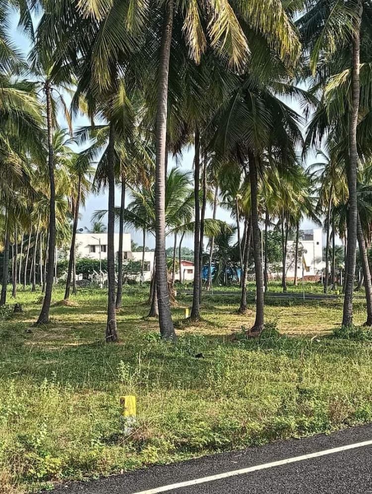 Single Property Image