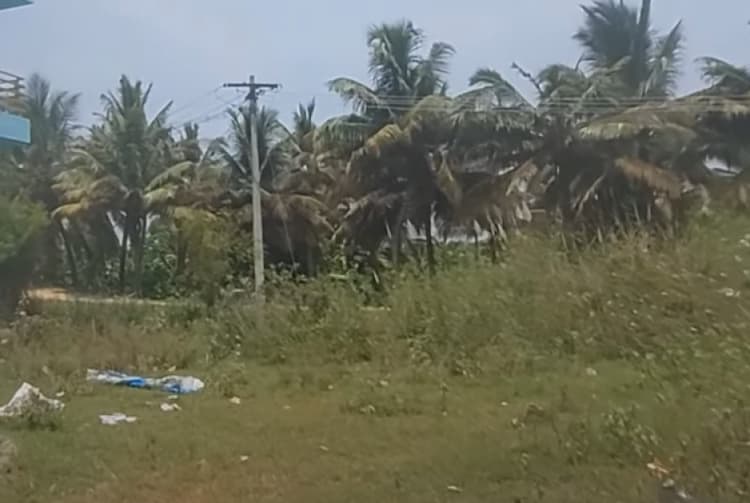 Land for sales
