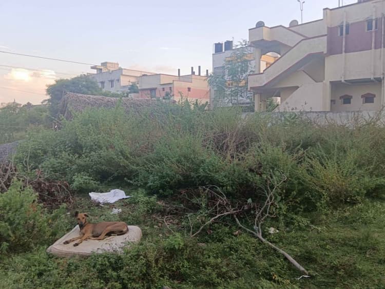 Single Property Image