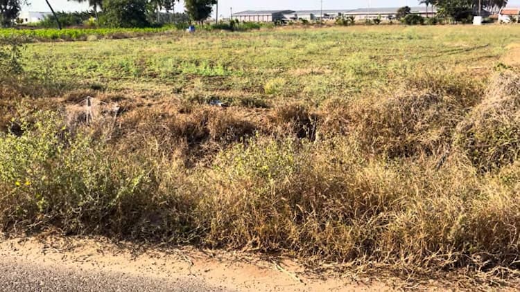 3 Acre Land for Sale