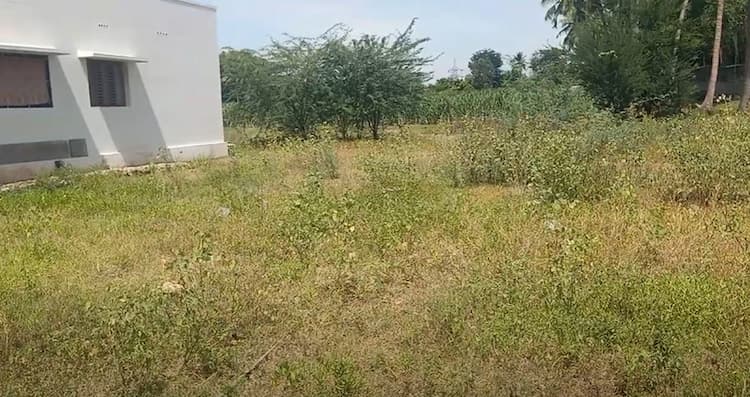 Land for sales