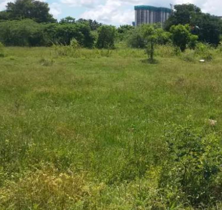 Land for sales