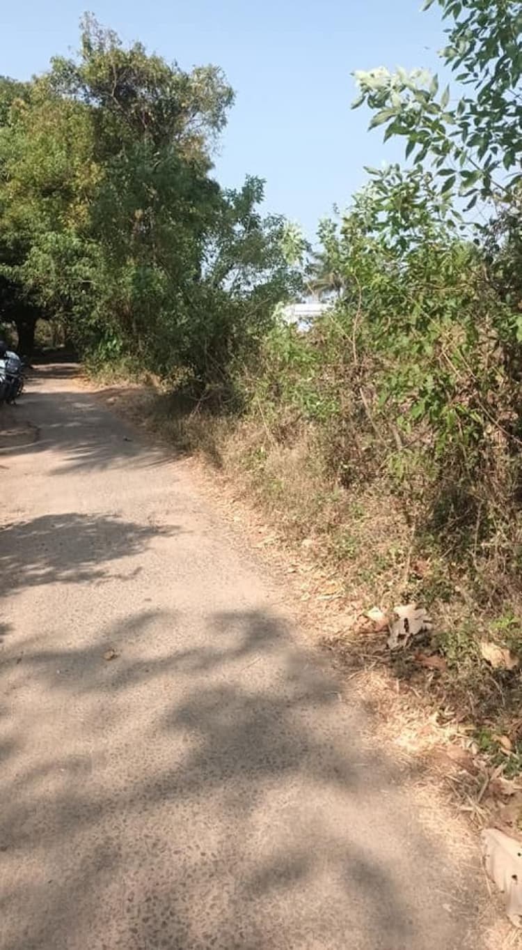 plot for sale