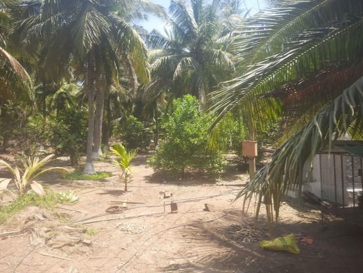 agri land for sale 