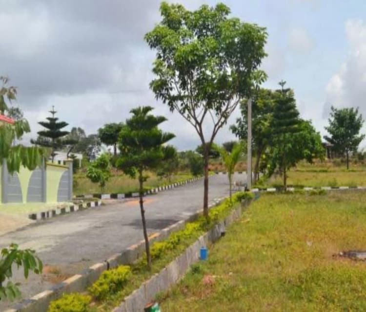 Single Property Image