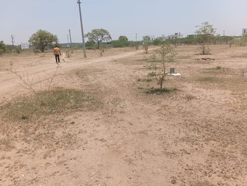site for sale