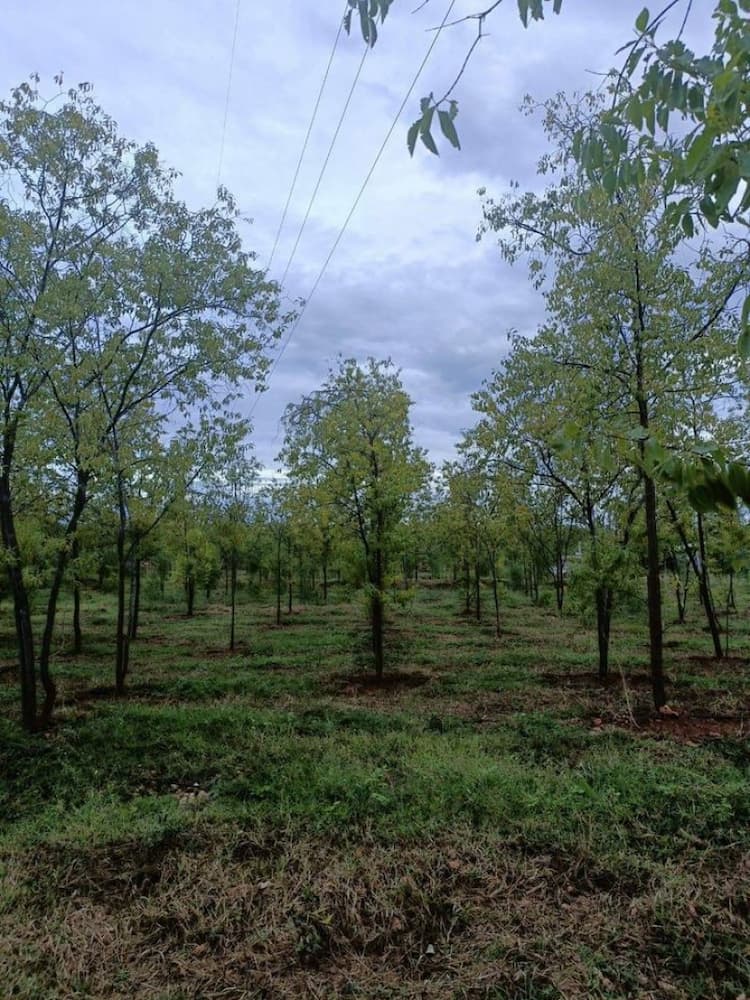 Single Property Image