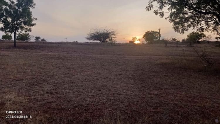 Land for sales