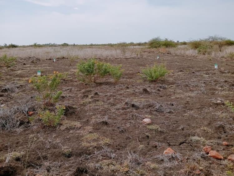 Land sale