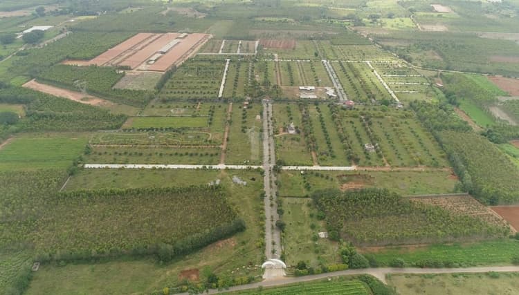 Plot sale