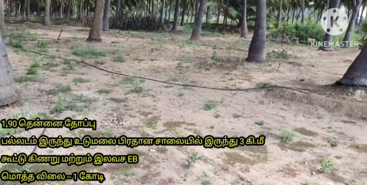 1.90 ACre Coconut Farm for Sale